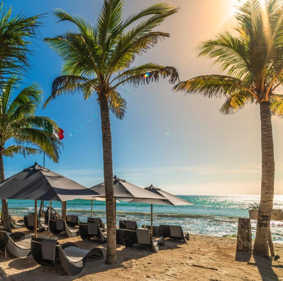 Mvngata Beach Hotel Плайя-дель-Кармен Екстер'єр фото